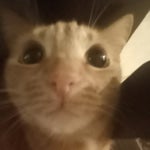 RED FLAGS — RED FLAGS КАВЕР НА РУССКОМ RED FLAGS RUS COVER (www