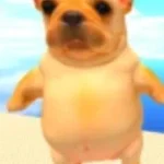 z's out the building (copy)