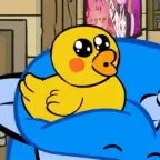 Prend ce mignon petit canard avec toi