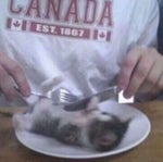 Curtain Call UNDERFELL One Heck Of A Show SOUNDTRACK