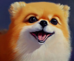 Hi :)