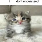 Napoleon would be proud