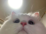 warning bot