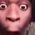 you picked the wrong house fool