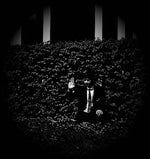 revenge of the finley