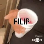 fylip1
