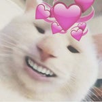 Moves like a jagger but EARRAPE :)