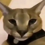 Me after losing a match of Fortnite