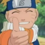 Naruto The Next Hokage (copy)
