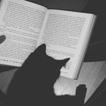 somewhere only we know pt 2