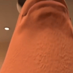 South Carolina is go