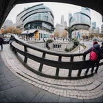 Bryan Wilson the Texas Law Hawk