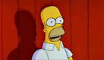 Homer Simpson : The Simpsons Beee
