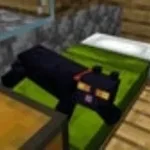 Cat - Meow 1 but loud