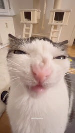 fnaf 2 hallway ambience