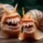 Snails Laughing