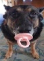 this ones for all my baby girls