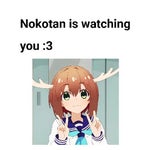 Shika Choir Shikanoko Nokonoko Koshitantan