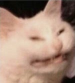 Bad To The Bone Riff Sound Effect