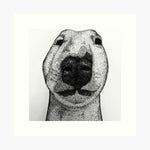 A Pimps Prayer - Boondocks