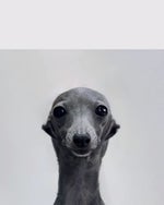 o these are pretty cool bananas