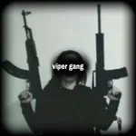 Viper gang (VRCHAT)