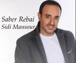 Saber Rebai Sidi Mansour