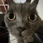 pierce the veil king for a day ft made with Voicemod - Sound