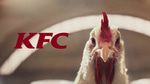 CHICKEN CHICKEN CHICKEN