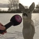 Ich weise diese Unterstellung zurück