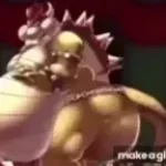 bowser fart