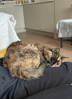 Tsuyu Asui's ribbit キル - Sound