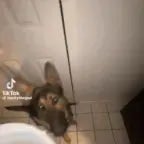 Sisyphus prime initial monologue