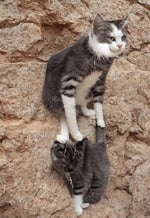 moments before the disaster