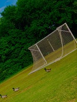 Juice WRLD Stuck In My Ways