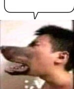 tiap hari bangka dada low quality