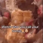 Watch who you call yo homie