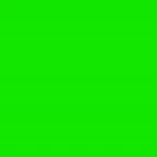 Elephant Green Screen Effect