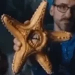 Singing Starfish (copy)