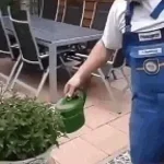 zajebali żule mi