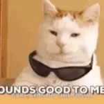 Cat clicker  Sound Effect