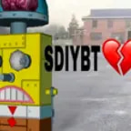SDIYBT