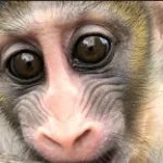 Recording 04/23/26 21:52:22