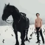 Recording 02/12/26 22:17:15