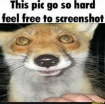 l4d2 hunter scream - Sound