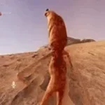marcus we need to leave