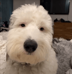 Jimmy Fallon, The Roots & The Super Mario Bros