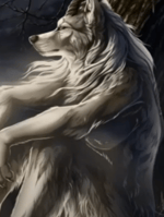 ANIMALS lobo aullando