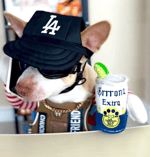 BEST DIO za warudo the World time stop sound