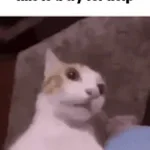 clapping cheeks (copy)